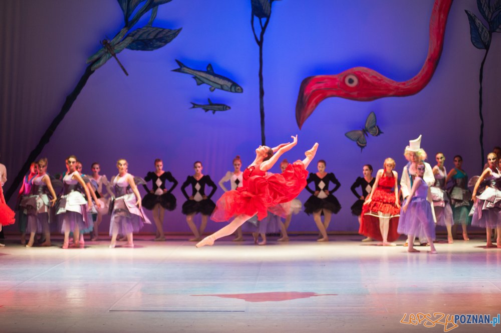 Alicja w Krainie Czarów Foto: materiały Szkoły Baletowej Alicja w Krainie Czarów Foto: materiały Szkoły Baletowej