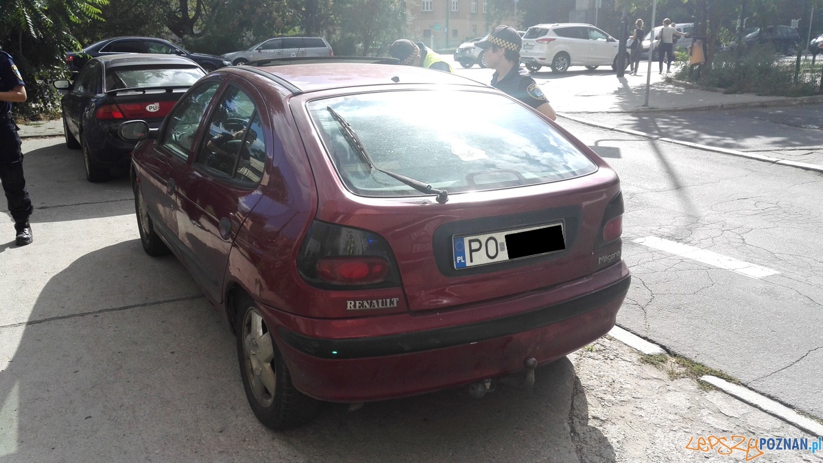 Kejter uwięziony w rozgrzanym samochodzie Foto: Straż Miejska Poznań Kejter uwięziony w rozgrzanym samochodzie Foto: Straż Miejska Poznań