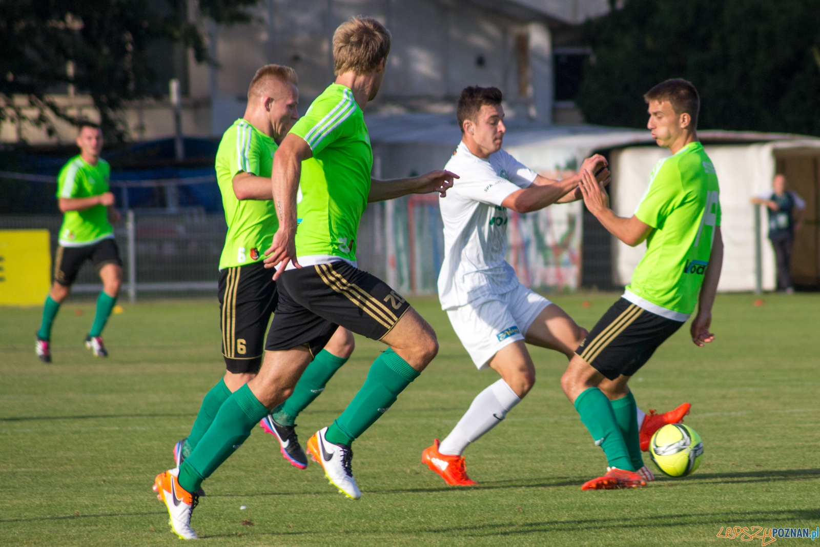 Warta Poznań-Stal Stalowa Wola Foto: Ewelina Jaśkowiak Warta Poznań-Stal Stalowa Wola Foto: Ewelina Jaśkowiak