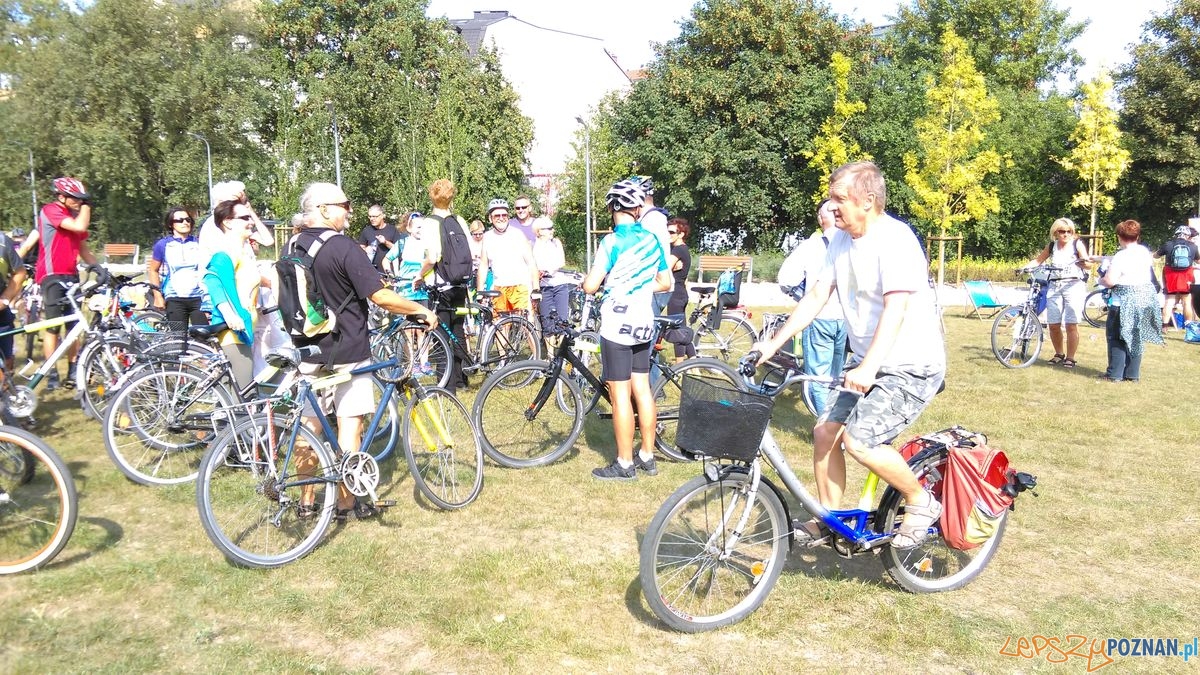 dni-starego-miasta-28 Foto: dni-starego-miasta-28 Foto: