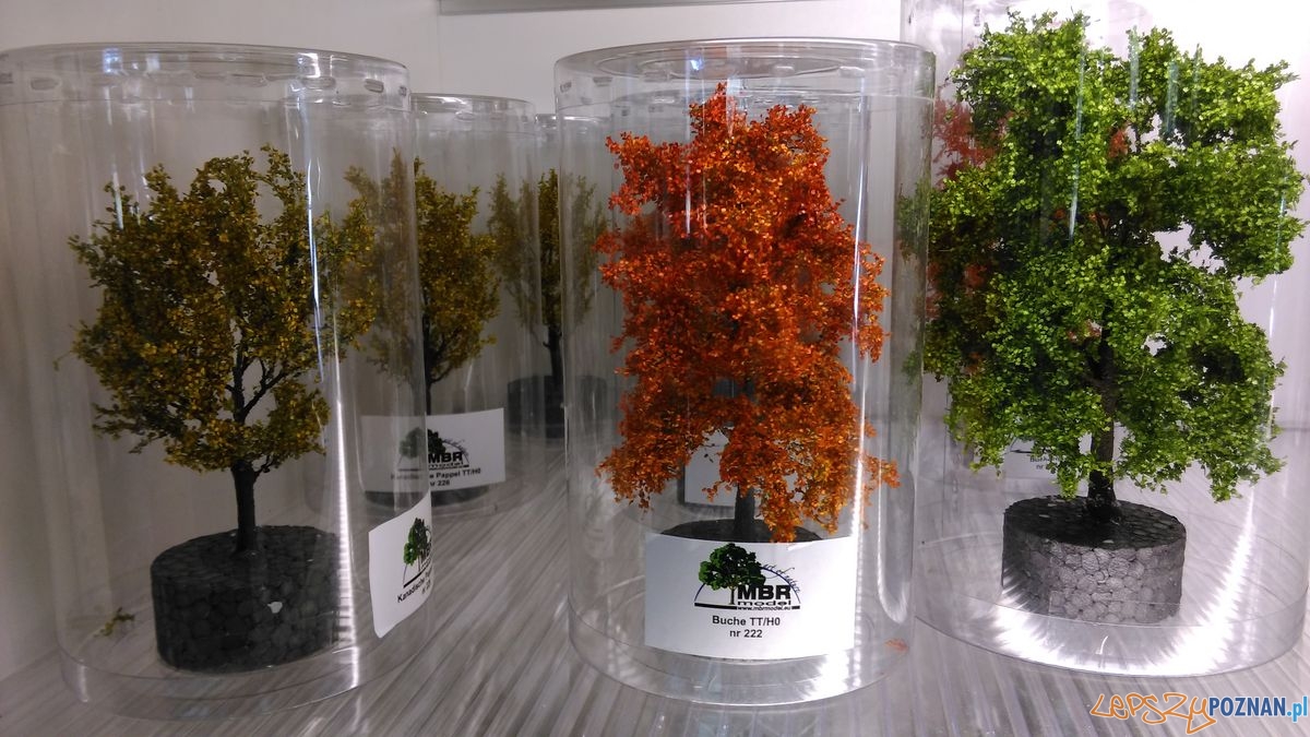 Mistrzostwa Poznania Modelarzy Foto: Tomasz Dworek Mistrzostwa Poznania Modelarzy Foto: Tomasz Dworek