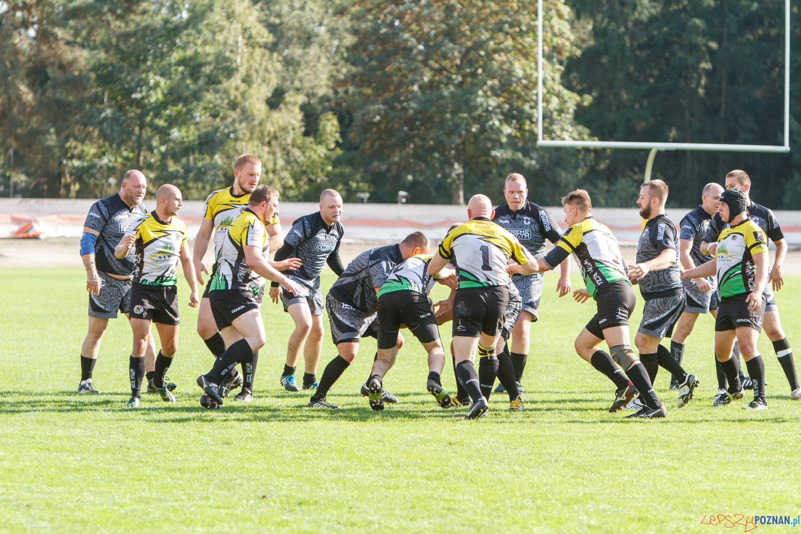Chaos Poznań - Wataha Zielona Góra 48:19 - Poznań 25.09.2016 Foto: LepszyPOZNAN.pl / Paweł Rychter Chaos Poznań - Wataha Zielona Góra 48:19 - Poznań 25.09.2016 Foto: LepszyPOZNAN.pl / Paweł Rychter