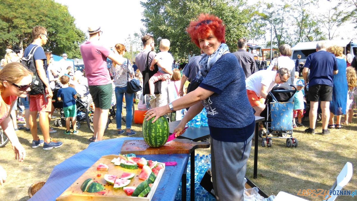 dni-starego-miasta-43 Foto: dni-starego-miasta-43 Foto: