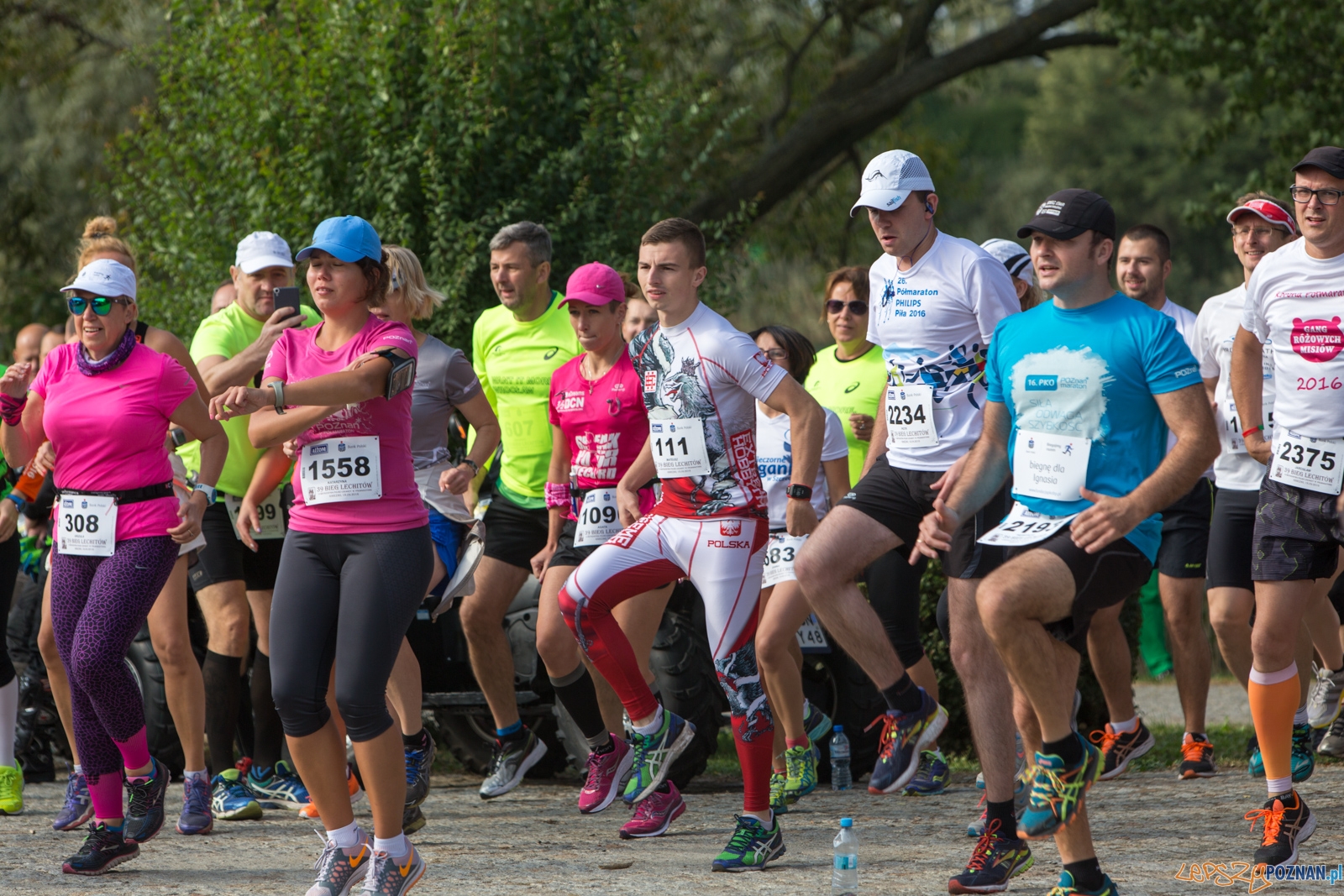 39. Bieg Lechitów Foto: lepszyPOZNAN.pl / Piotr Rychter 39. Bieg Lechitów Foto: lepszyPOZNAN.pl / Piotr Rychter