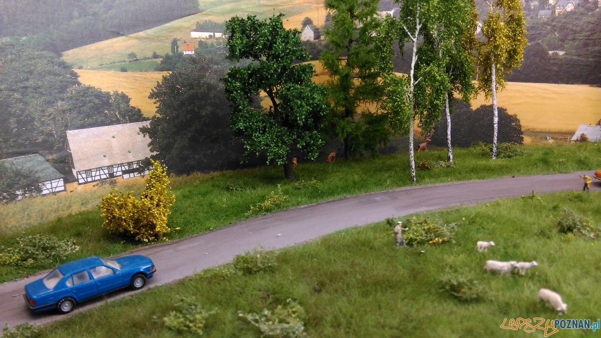 Mistrzostwa Poznania Modelarzy Foto: Tomasz Dworek Mistrzostwa Poznania Modelarzy Foto: Tomasz Dworek