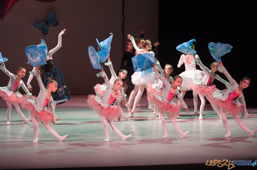 Alicja w Krainie Czarów Foto: materiały Szkoły Baletowej Alicja w Krainie Czarów Foto: materiały Szkoły Baletowej