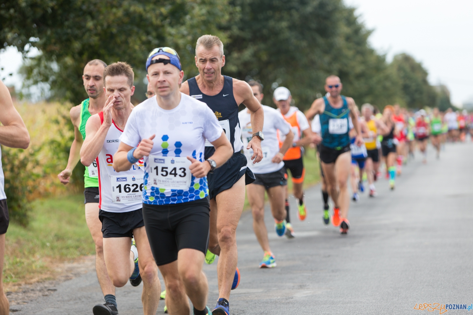 39. Bieg Lechitów Foto: lepszyPOZNAN.pl / Piotr Rychter 39. Bieg Lechitów Foto: lepszyPOZNAN.pl / Piotr Rychter