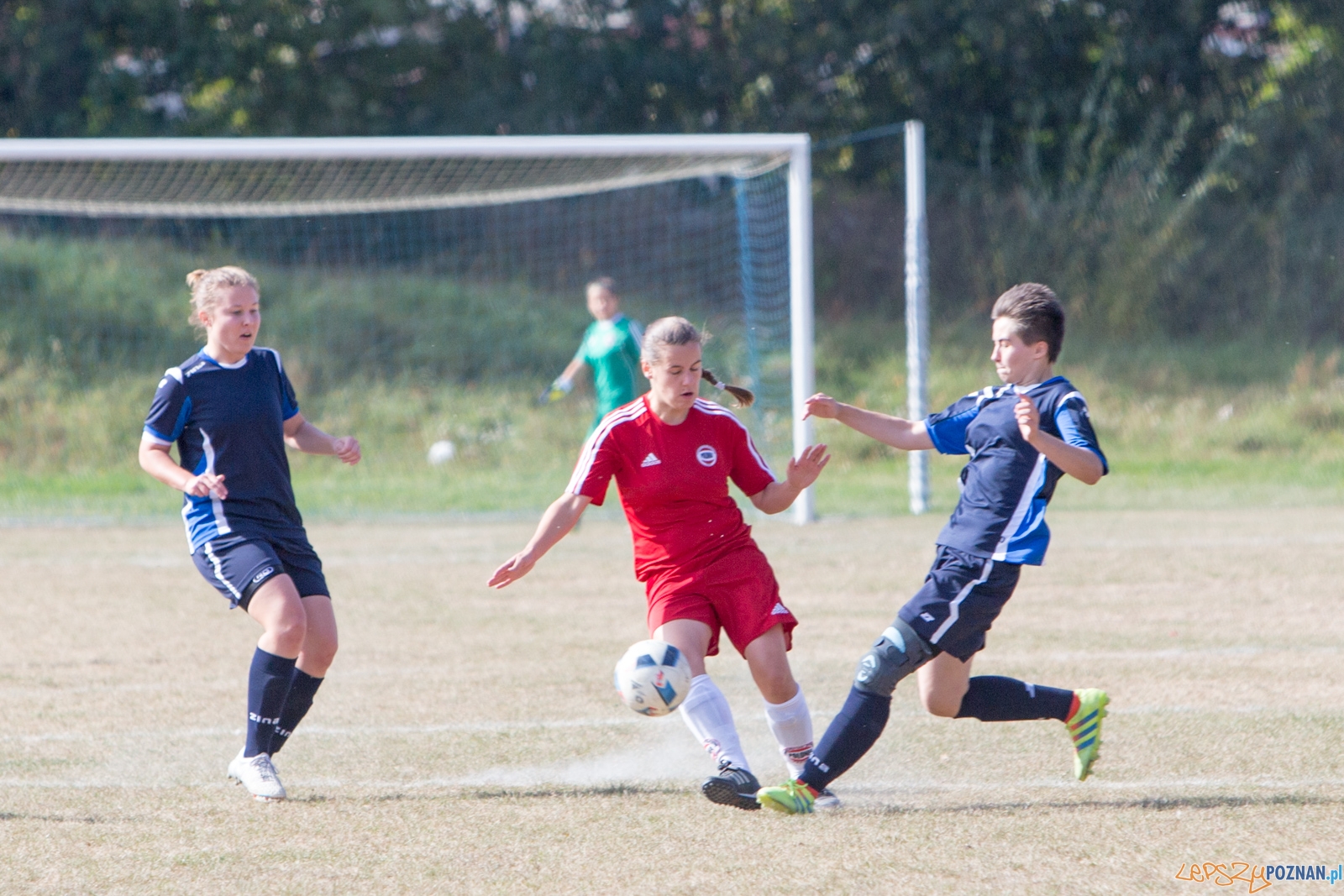 Polonia Poznań - MUKS Praga Warszawa Foto: lepszyPOZNAN.pl / Piotr Rychter Polonia Poznań - MUKS Praga Warszawa Foto: lepszyPOZNAN.pl / Piotr Rychter