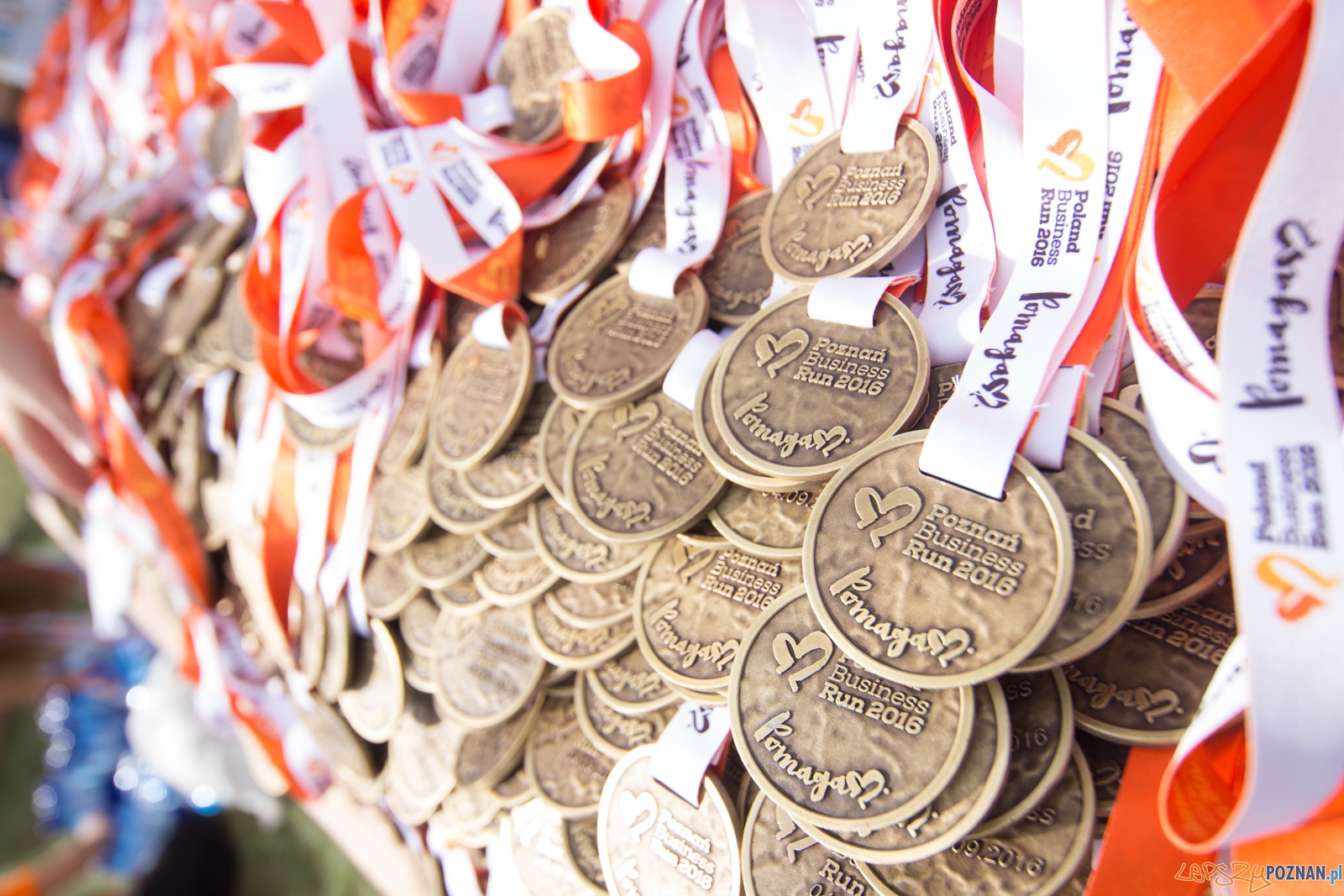 Poznań Business Run 2016 Foto: lepszyPOZNAN.pl / Piotr Rychter Poznań Business Run 2016 Foto: lepszyPOZNAN.pl / Piotr Rychter