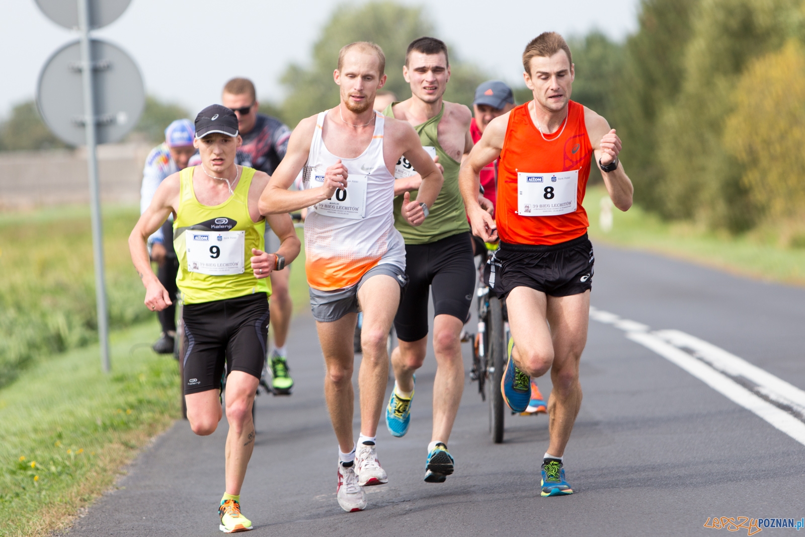 39. Bieg Lechitów Foto: lepszyPOZNAN.pl / Piotr Rychter 39. Bieg Lechitów Foto: lepszyPOZNAN.pl / Piotr Rychter