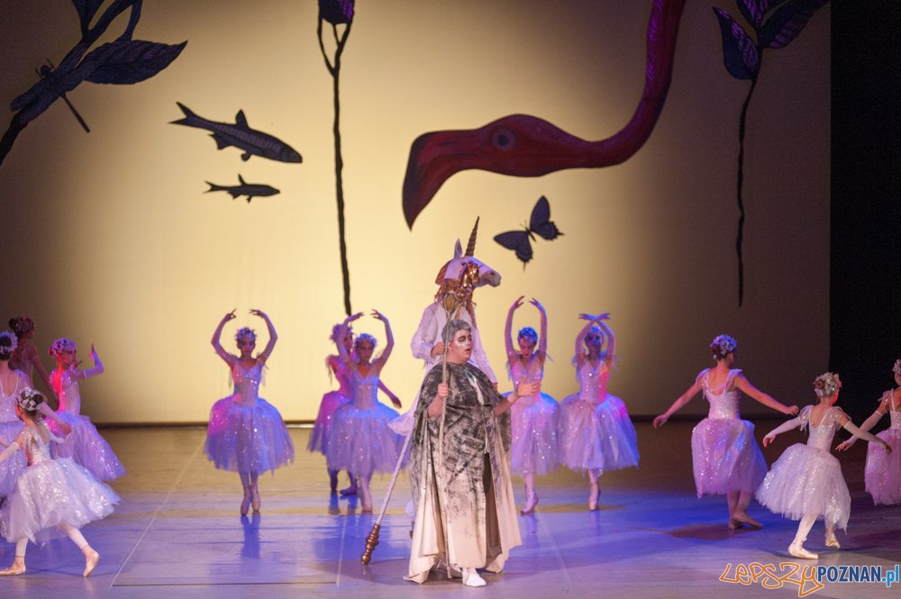 Alicja w Krainie Czarów Foto: materiały Szkoły Baletowej Alicja w Krainie Czarów Foto: materiały Szkoły Baletowej