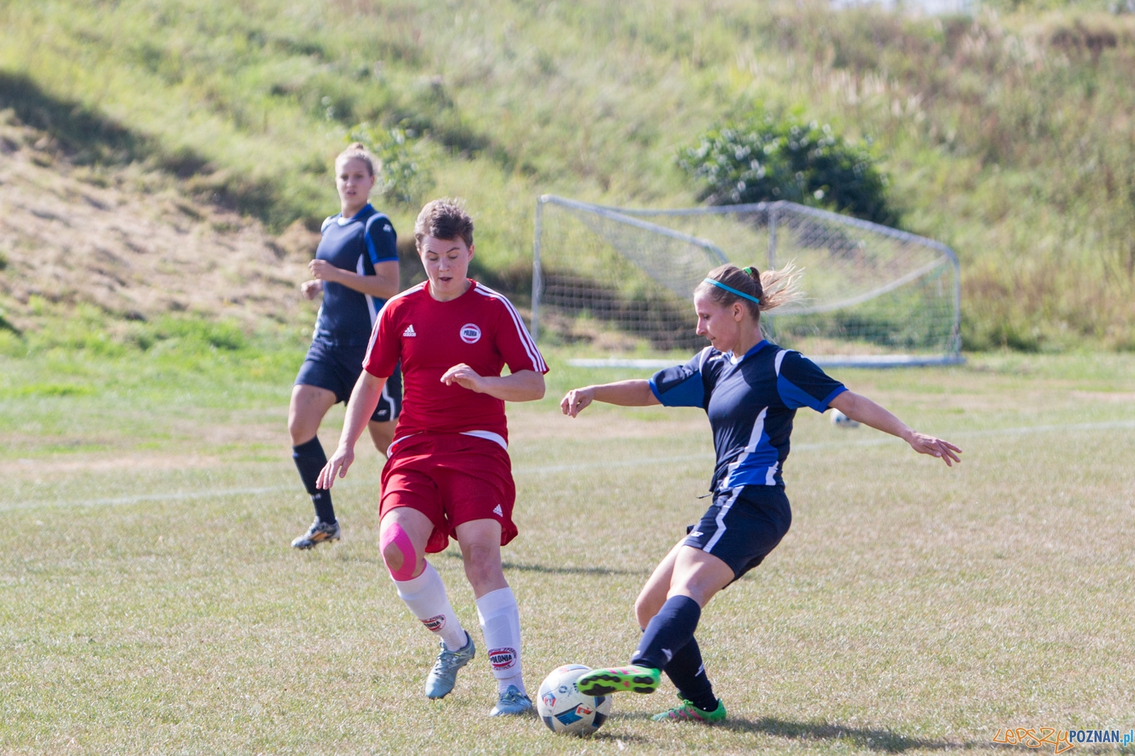 Polonia Poznań - MUKS Praga Warszawa Foto: lepszyPOZNAN.pl / Piotr Rychter Polonia Poznań - MUKS Praga Warszawa Foto: lepszyPOZNAN.pl / Piotr Rychter