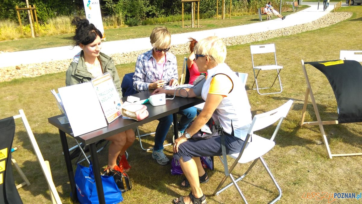 dni-starego-miasta-38 Foto: dni-starego-miasta-38 Foto: