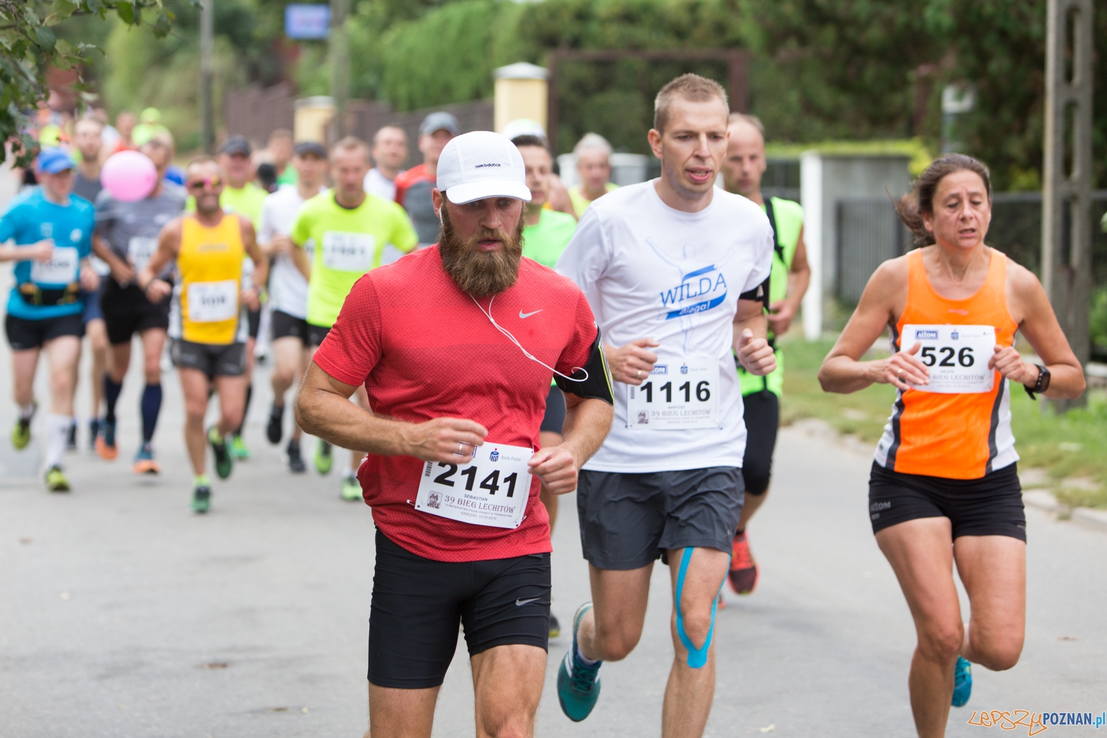 39. Bieg Lechitów Foto: lepszyPOZNAN.pl / Piotr Rychter 39. Bieg Lechitów Foto: lepszyPOZNAN.pl / Piotr Rychter