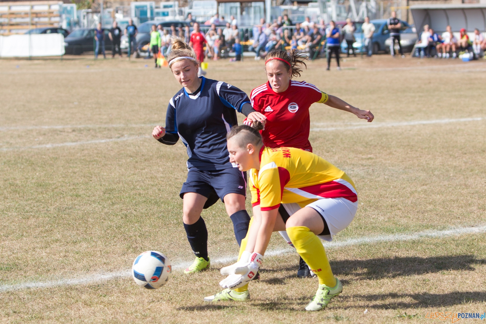 Polonia Poznań - MUKS Praga Warszawa Foto: lepszyPOZNAN.pl / Piotr Rychter Polonia Poznań - MUKS Praga Warszawa Foto: lepszyPOZNAN.pl / Piotr Rychter