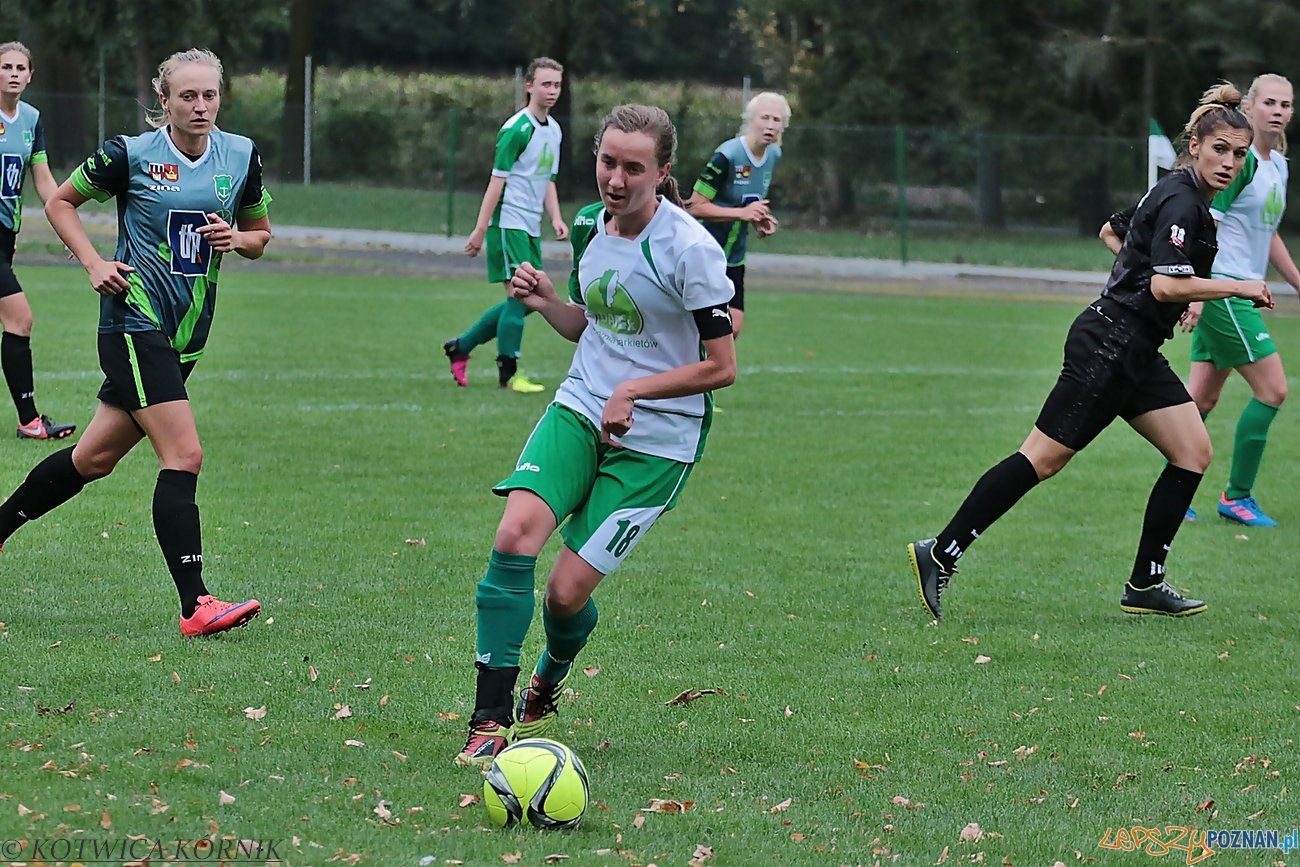 kotwica-kornik-gss-grodzisk-2016-09-18-5 Foto: Informacja własna@Kotwica Kórnik kotwica-kornik-gss-grodzisk-2016-09-18-5 Foto: Informacja własna@Kotwica Kórnik