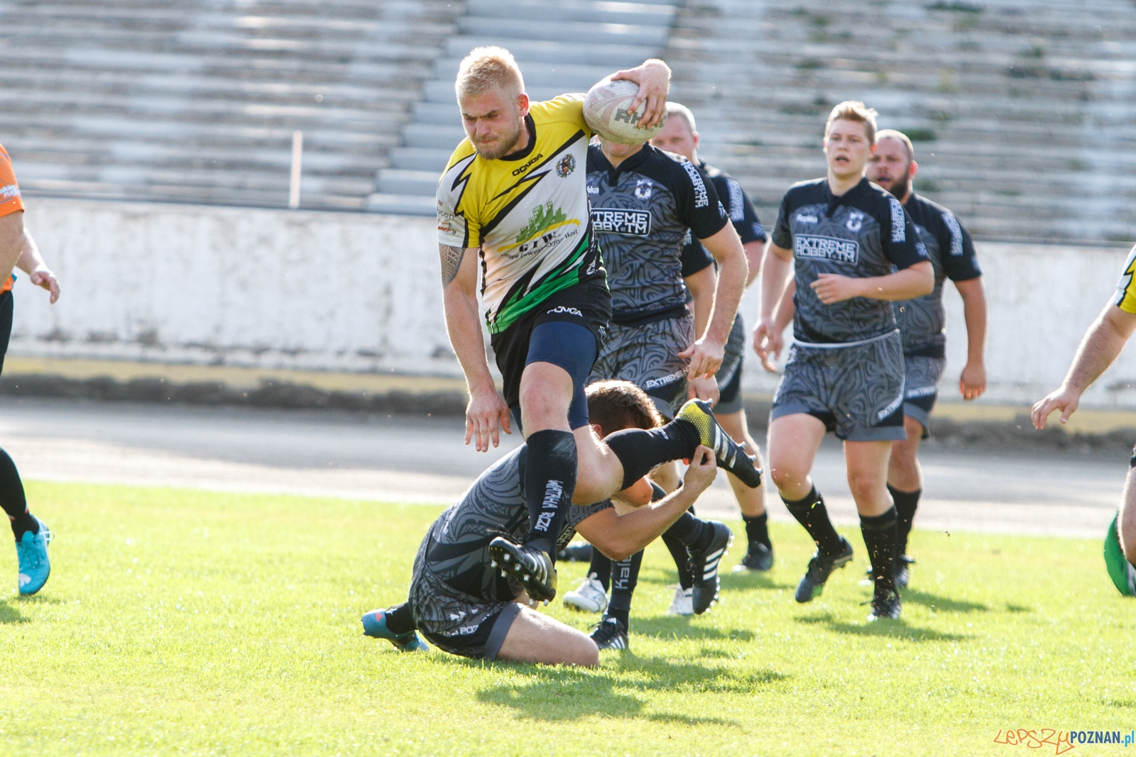 Chaos Poznań - Wataha Zielona Góra 48:19 - Poznań 25.09.2016 Foto: LepszyPOZNAN.pl / Paweł Rychter Chaos Poznań - Wataha Zielona Góra 48:19 - Poznań 25.09.2016 Foto: LepszyPOZNAN.pl / Paweł Rychter