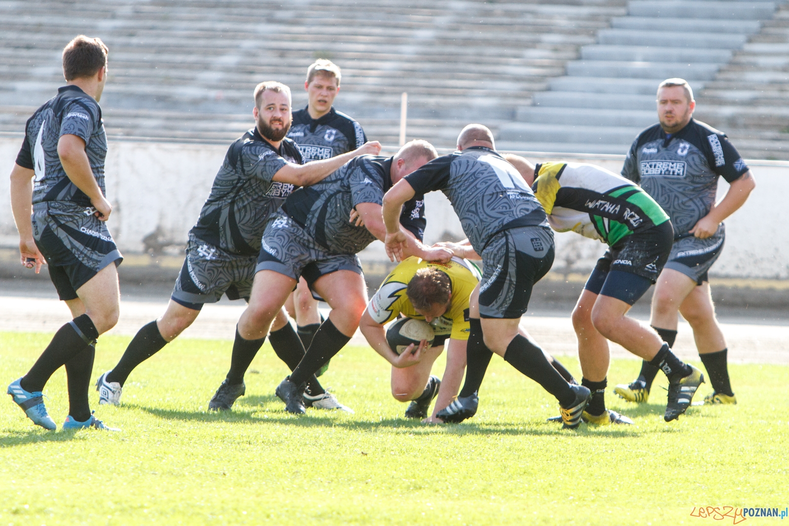 Chaos Poznań - Wataha Zielona Góra 48:19 - Poznań 25.09.2016 Foto: LepszyPOZNAN.pl / Paweł Rychter Chaos Poznań - Wataha Zielona Góra 48:19 - Poznań 25.09.2016 Foto: LepszyPOZNAN.pl / Paweł Rychter