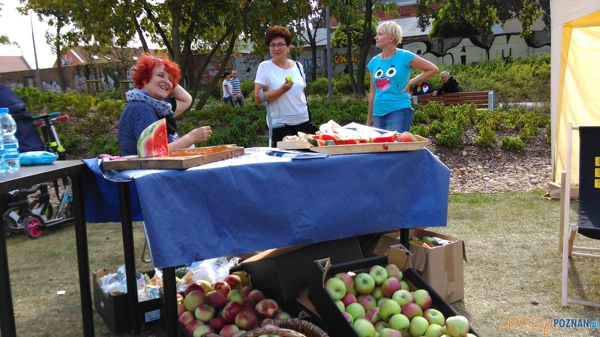 dni-starego-miasta-3 Foto: dni-starego-miasta-3 Foto: