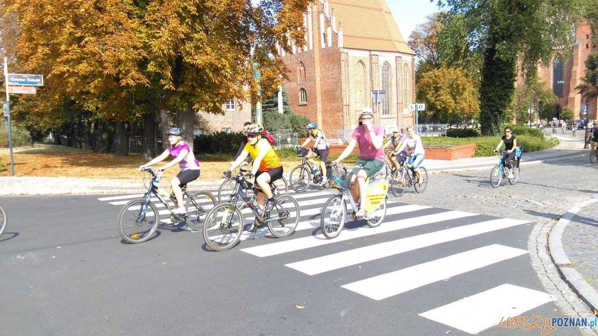 dni-starego-miasta-19 Foto: dni-starego-miasta-19 Foto: