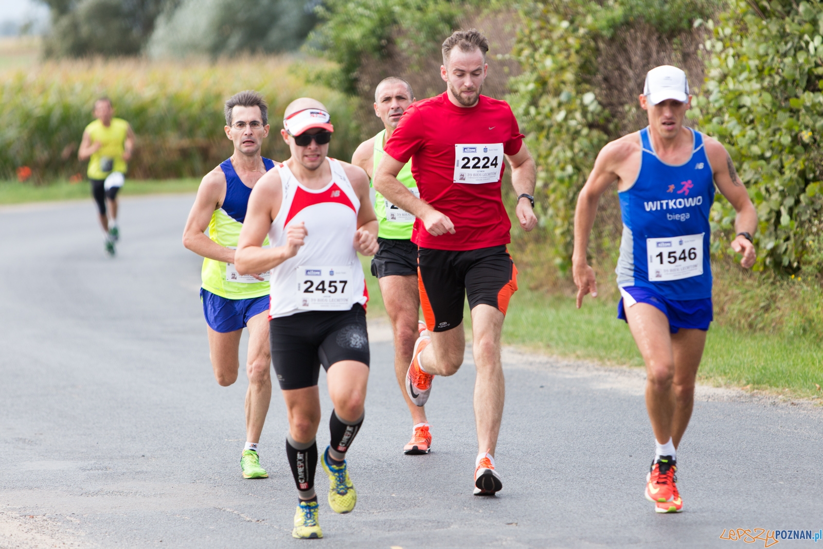 39. Bieg Lechitów Foto: lepszyPOZNAN.pl / Piotr Rychter 39. Bieg Lechitów Foto: lepszyPOZNAN.pl / Piotr Rychter