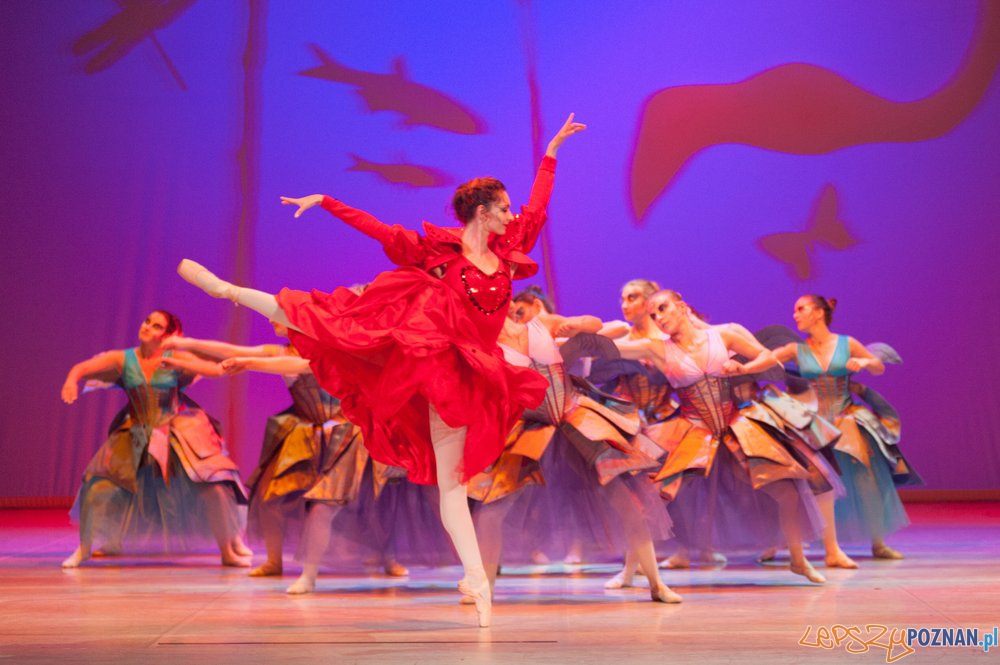 Alicja w Krainie Czarów Foto: materiały Szkoły Baletowej Alicja w Krainie Czarów Foto: materiały Szkoły Baletowej