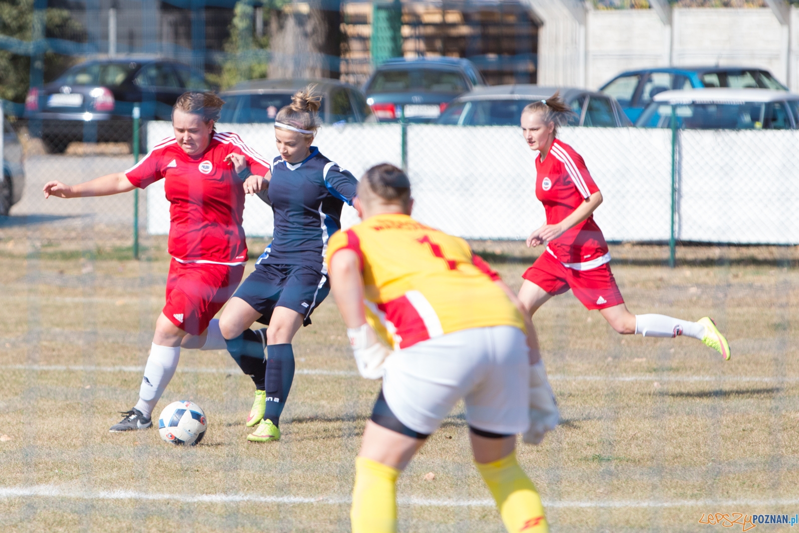 Polonia Poznań - MUKS Praga Warszawa Foto: lepszyPOZNAN.pl / Piotr Rychter Polonia Poznań - MUKS Praga Warszawa Foto: lepszyPOZNAN.pl / Piotr Rychter