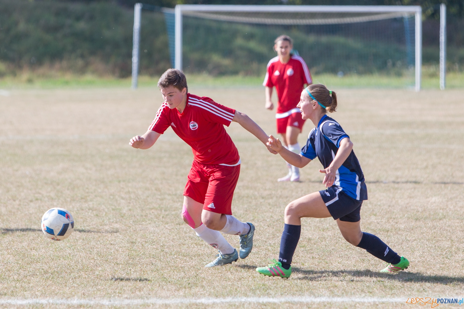 Polonia Poznań - MUKS Praga Warszawa Foto: lepszyPOZNAN.pl / Piotr Rychter Polonia Poznań - MUKS Praga Warszawa Foto: lepszyPOZNAN.pl / Piotr Rychter