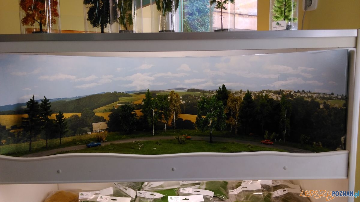 Mistrzostwa Poznania Modelarzy Foto: Tomasz Dworek Mistrzostwa Poznania Modelarzy Foto: Tomasz Dworek