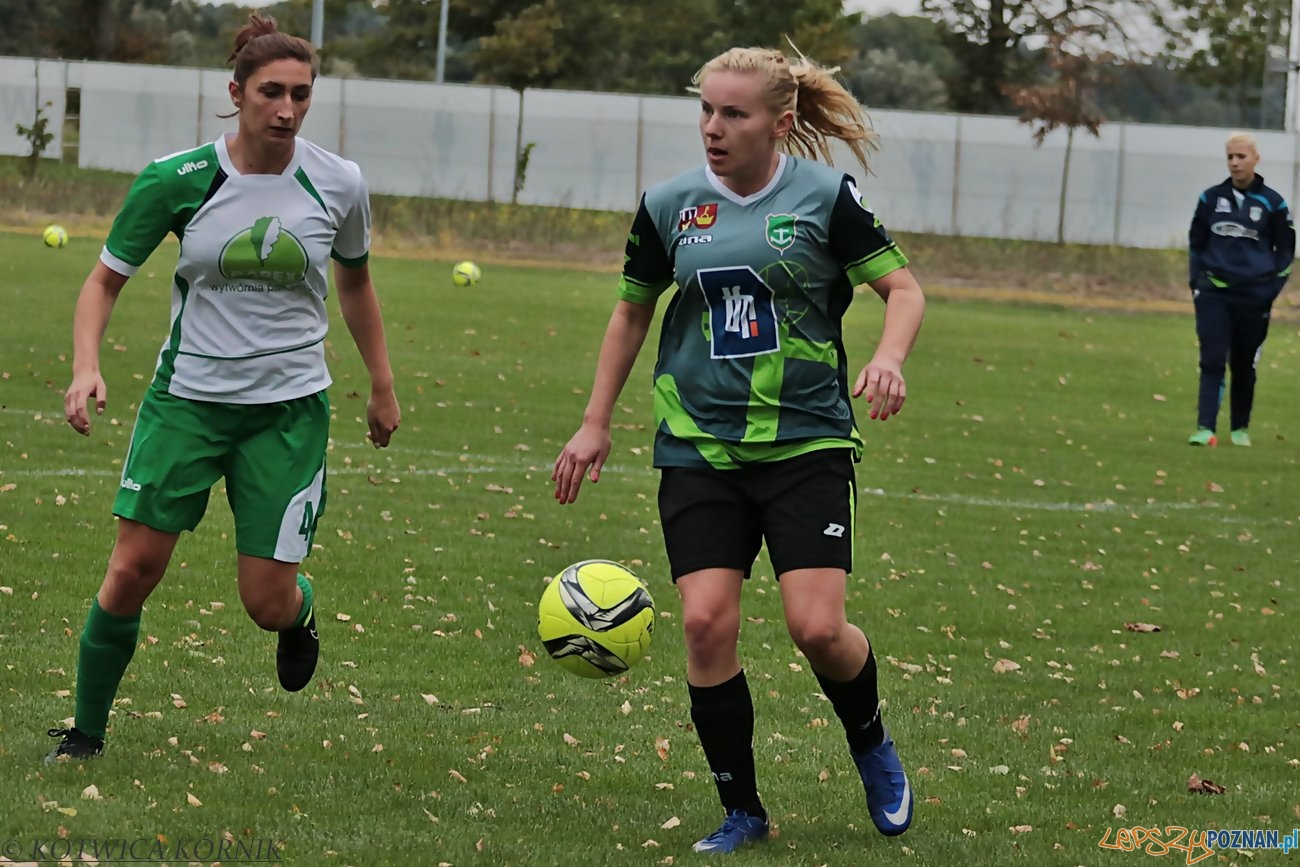kotwica-kornik-gss-grodzisk-2016-09-18-4 Foto: Informacja własna@Kotwica Kórnik kotwica-kornik-gss-grodzisk-2016-09-18-4 Foto: Informacja własna@Kotwica Kórnik