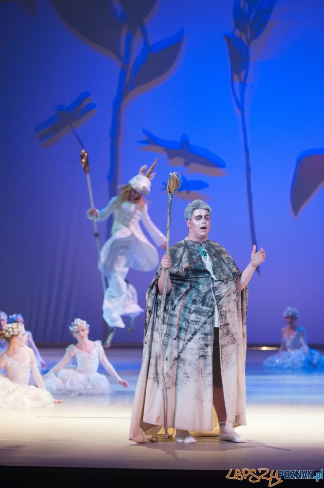 Alicja w Krainie Czarów Foto: materiały Szkoły Baletowej Alicja w Krainie Czarów Foto: materiały Szkoły Baletowej