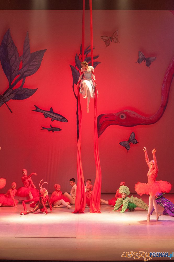 Alicja w Krainie Czarów Foto: materiały Szkoły Baletowej Alicja w Krainie Czarów Foto: materiały Szkoły Baletowej