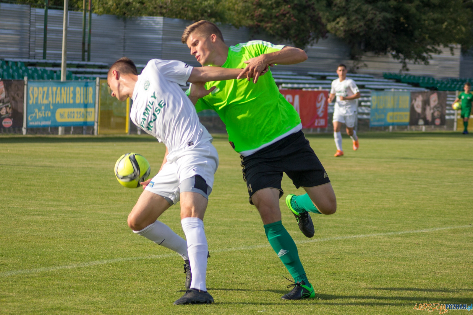Warta Poznań-Stal Stalowa Wola Foto: Ewelina Jaśkowiak Warta Poznań-Stal Stalowa Wola Foto: Ewelina Jaśkowiak
