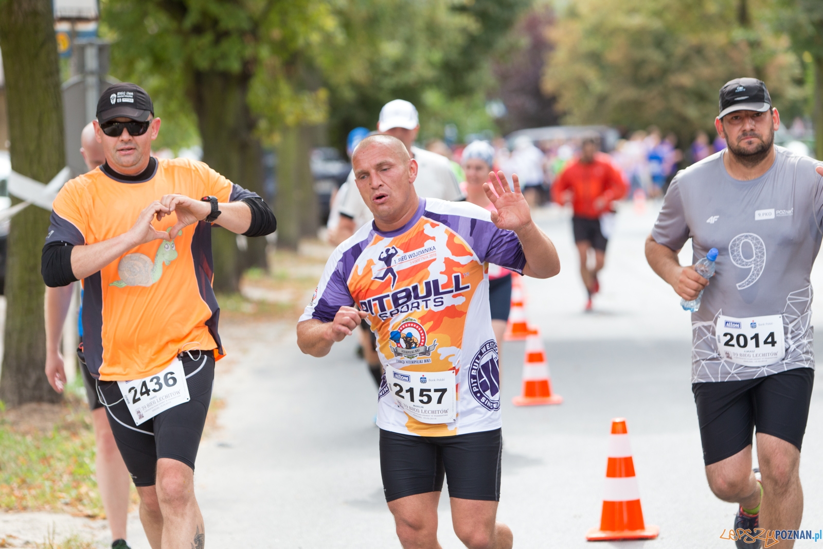 39. Bieg Lechitów Foto: lepszyPOZNAN.pl / Piotr Rychter 39. Bieg Lechitów Foto: lepszyPOZNAN.pl / Piotr Rychter