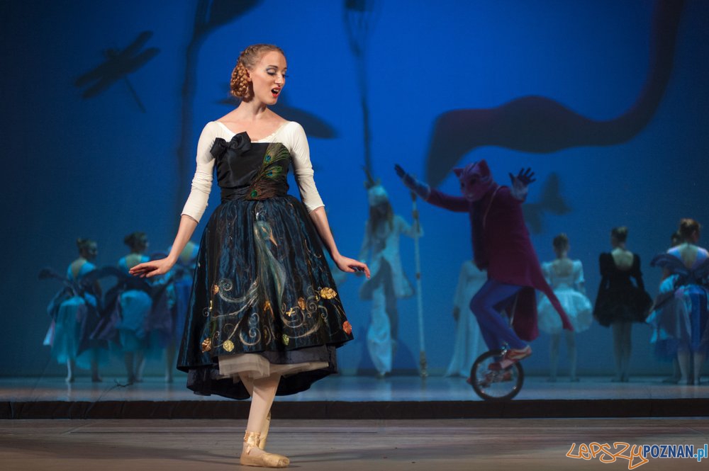 Alicja w Krainie Czarów Foto: materiały Szkoły Baletowej Alicja w Krainie Czarów Foto: materiały Szkoły Baletowej