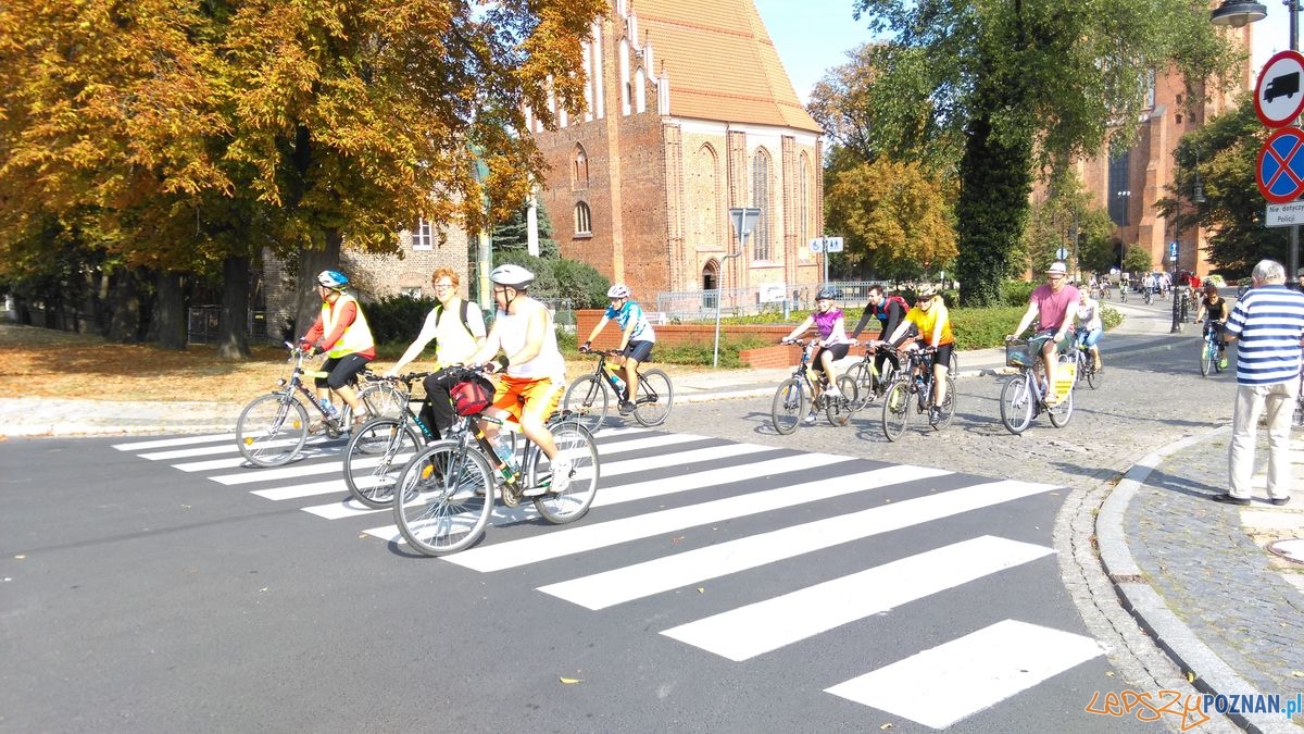 dni-starego-miasta-18 Foto: dni-starego-miasta-18 Foto: