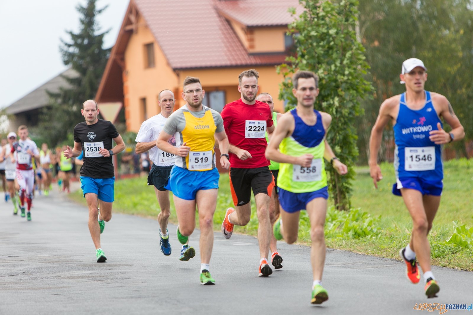 39. Bieg Lechitów Foto: lepszyPOZNAN.pl / Piotr Rychter 39. Bieg Lechitów Foto: lepszyPOZNAN.pl / Piotr Rychter
