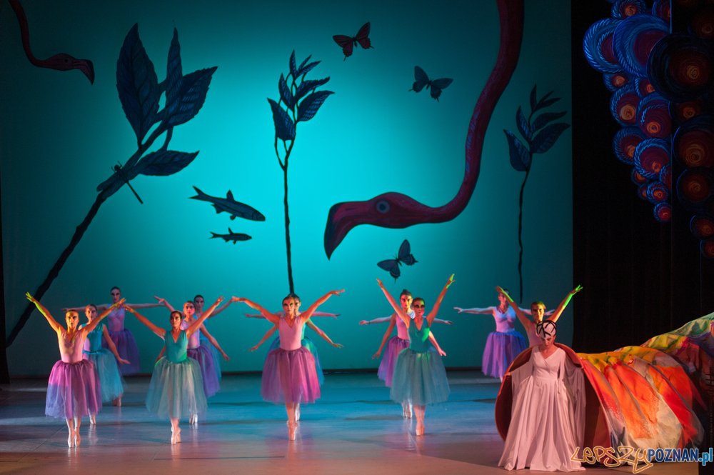 Alicja w Krainie Czarów Foto: materiały Szkoły Baletowej Alicja w Krainie Czarów Foto: materiały Szkoły Baletowej