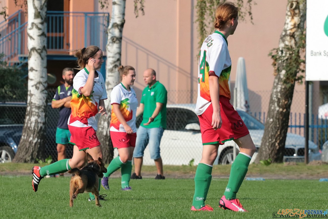 Kotwica I 2 liga Foto: Kotwica Kórnik Kotwica I 2 liga Foto: Kotwica Kórnik