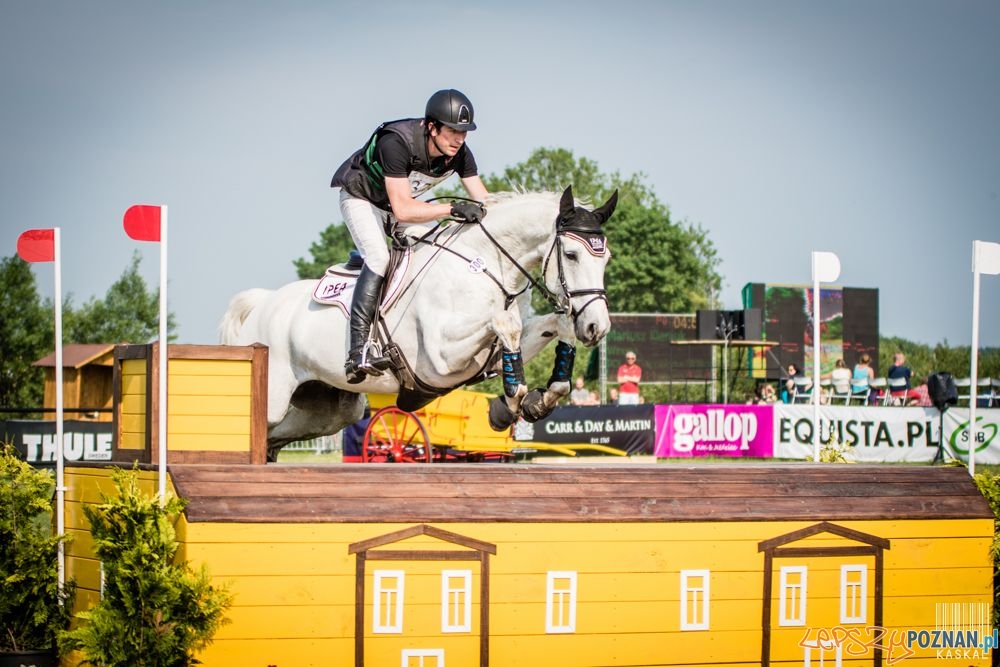 WKKW w Baborówku Foto: Katarzyna Lichnowska / materiały prasowe WKKW w Baborówku Foto: Katarzyna Lichnowska / materiały prasowe