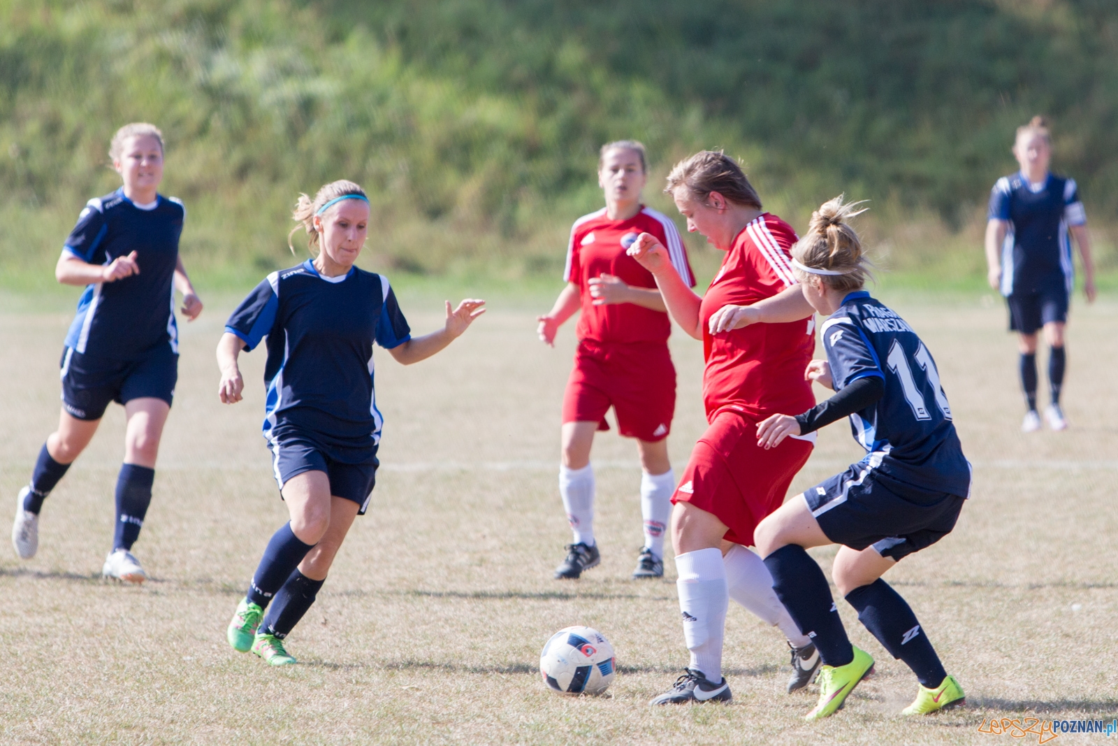 Polonia Poznań - MUKS Praga Warszawa Foto: lepszyPOZNAN.pl / Piotr Rychter Polonia Poznań - MUKS Praga Warszawa Foto: lepszyPOZNAN.pl / Piotr Rychter