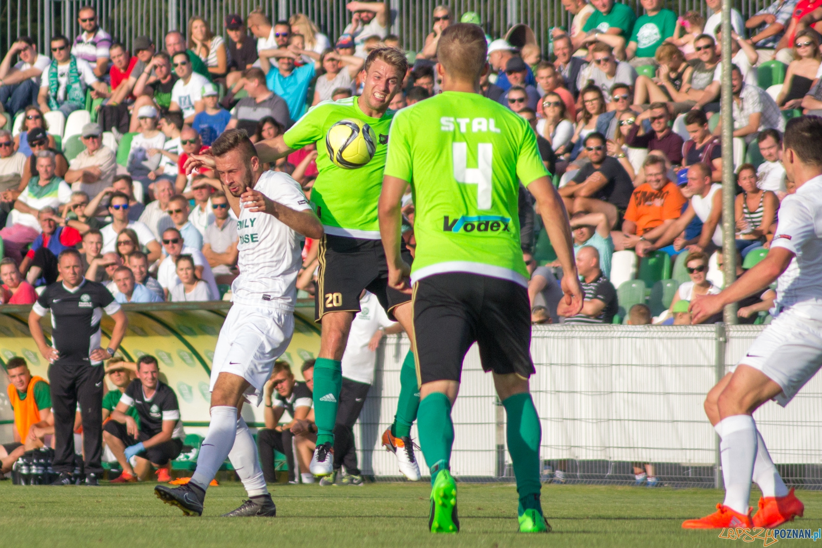 Warta Poznań-Stal Stalowa Wola Foto: Ewelina Jaśkowiak Warta Poznań-Stal Stalowa Wola Foto: Ewelina Jaśkowiak