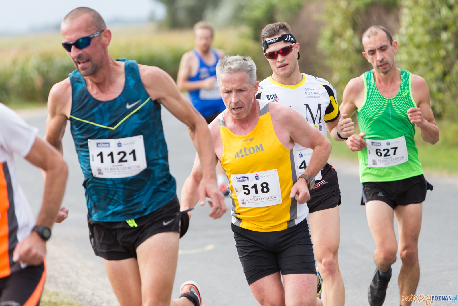 39. Bieg Lechitów Foto: lepszyPOZNAN.pl / Piotr Rychter 39. Bieg Lechitów Foto: lepszyPOZNAN.pl / Piotr Rychter
