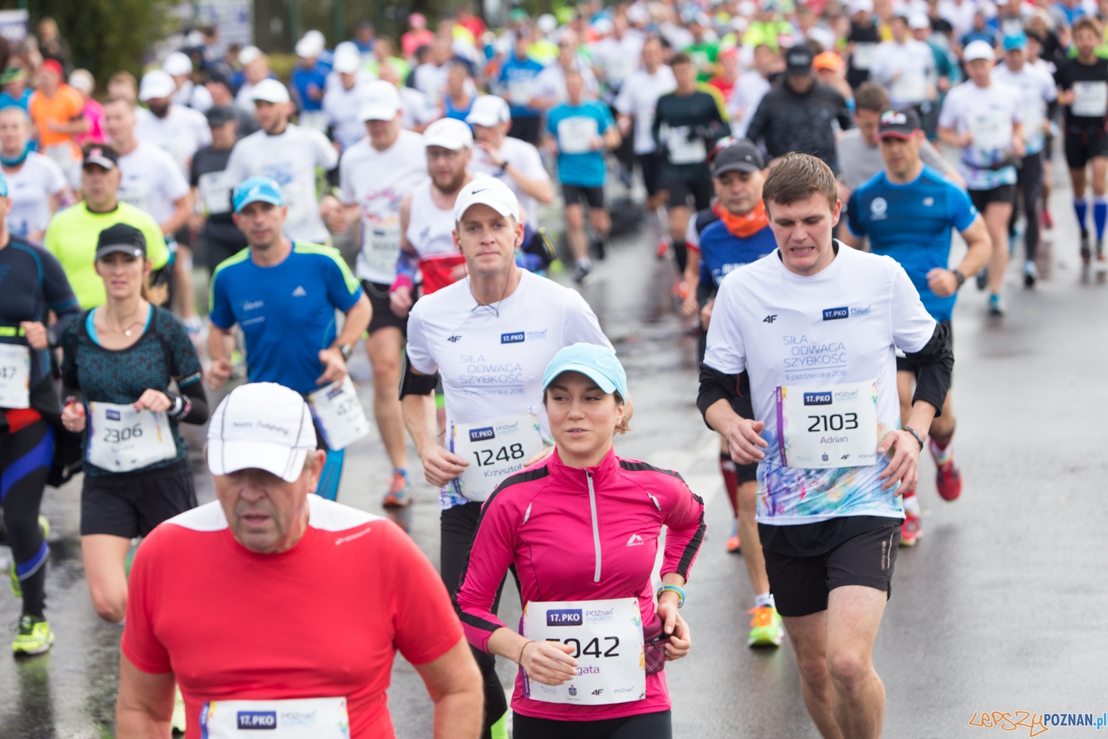 17. PKO Poznań Maraton Foto: lepszyPOZNAN.pl / Piotr Rychter 17. PKO Poznań Maraton Foto: lepszyPOZNAN.pl / Piotr Rychter