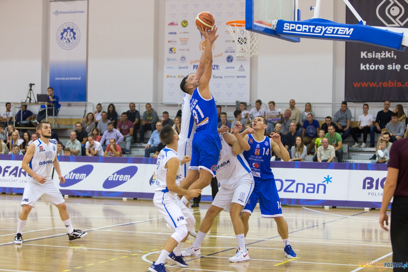 Biofarm Basket Poznań - Noteć Inowrocław Foto: lepszyPOZNAN.pl / Piotr Rychter Biofarm Basket Poznań - Noteć Inowrocław Foto: lepszyPOZNAN.pl / Piotr Rychter