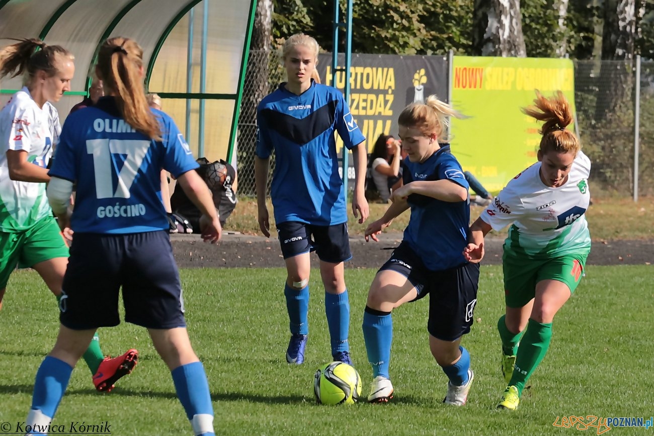 Kotwica Kórnik – KS Olimp Gościno Foto: materiały prasowe Kotwica Kórnik – KS Olimp Gościno Foto: materiały prasowe