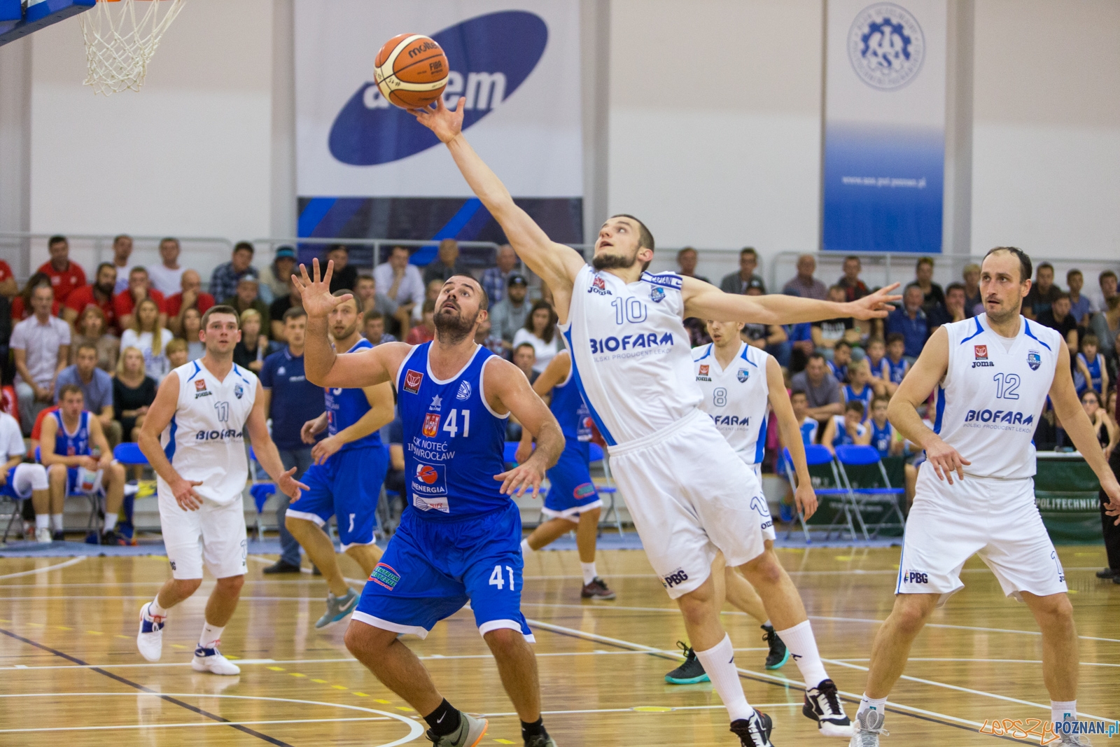 Biofarm Basket Poznań - Noteć Inowrocław Foto: lepszyPOZNAN.pl / Piotr Rychter Biofarm Basket Poznań - Noteć Inowrocław Foto: lepszyPOZNAN.pl / Piotr Rychter