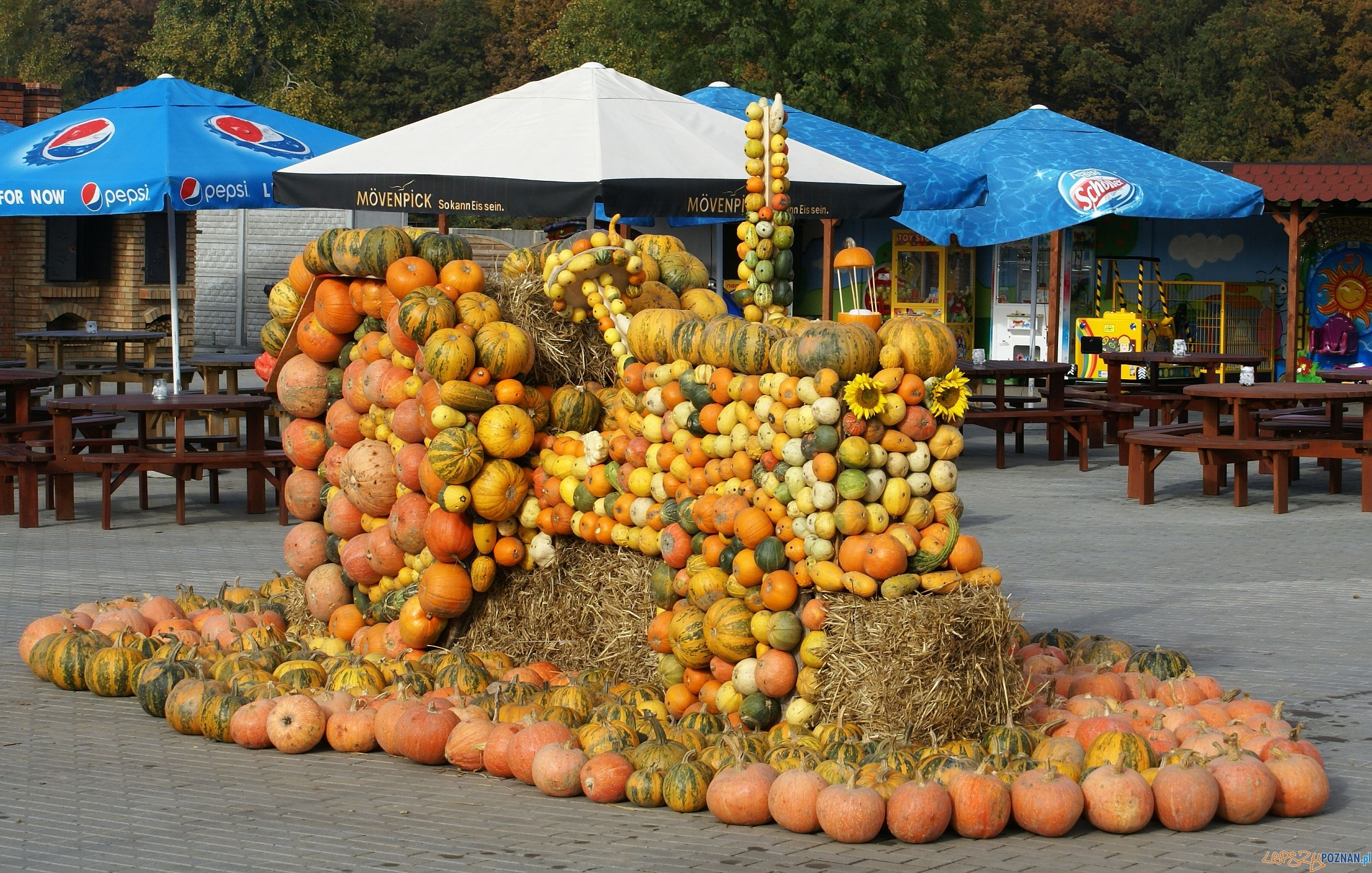 Festiwal Korbola Foto: ExPress / materiały prasowe Festiwal Korbola Foto: ExPress / materiały prasowe