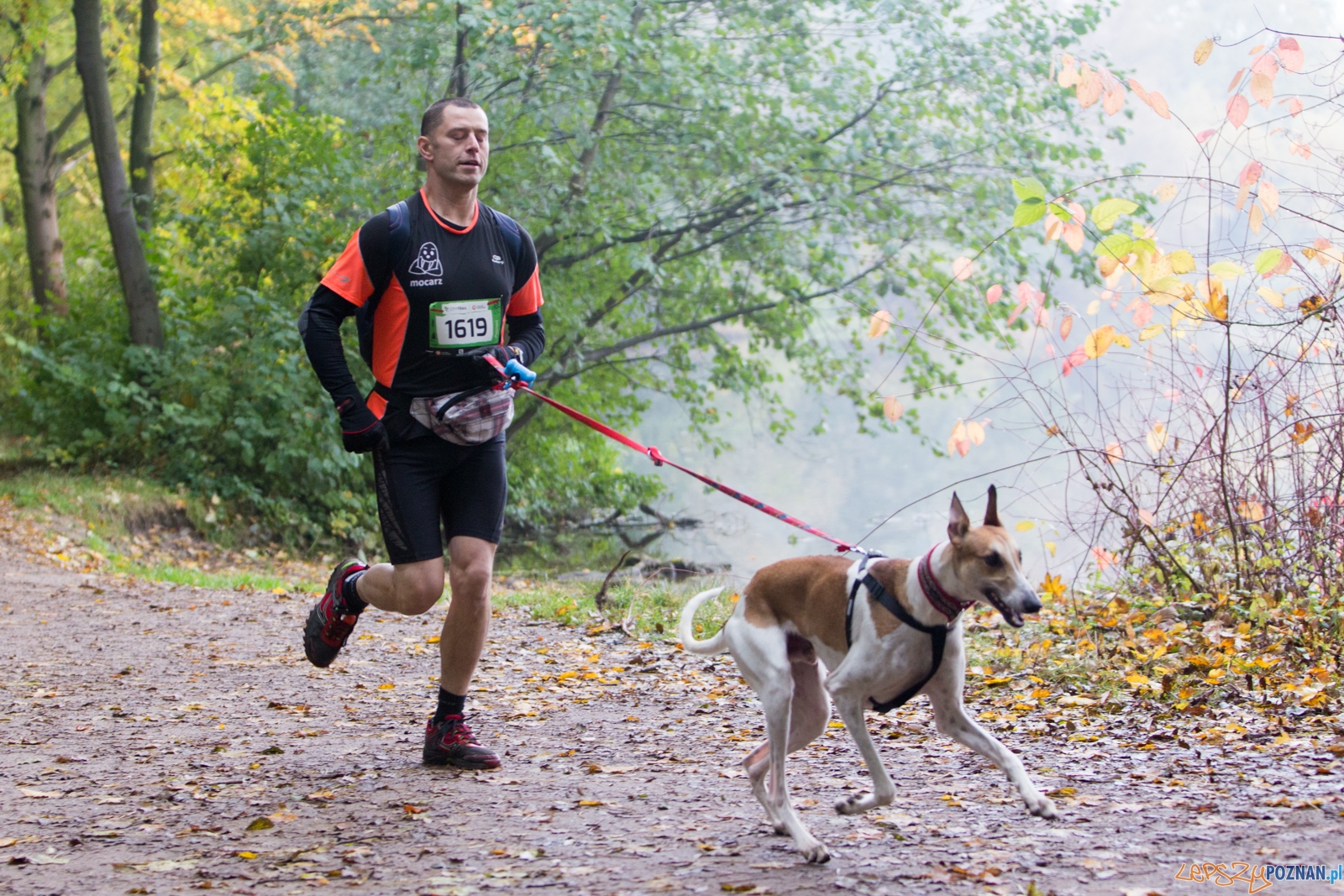 Grand Prix CITY TRAIL - bieg pierwszy Foto: lepszyPOZNAN.pl / Piotr Rychter Grand Prix CITY TRAIL - bieg pierwszy Foto: lepszyPOZNAN.pl / Piotr Rychter