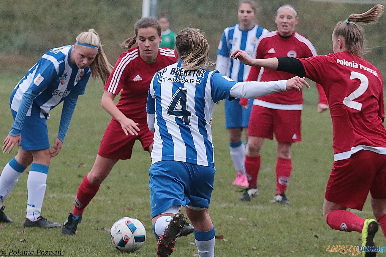 Polonia Poznań - KP Błękitne Stargard Foto: materiały prasowe Polonia Poznań - KP Błękitne Stargard Foto: materiały prasowe